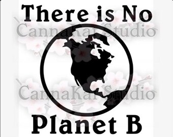 No Planet B Vinyl Decal Bumper Sticker earth peace green recycle global warming climate change third 3rd preservation human intervention