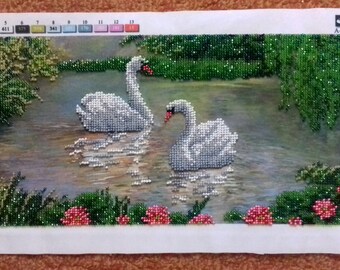Swans on the lake/Birds on the lake