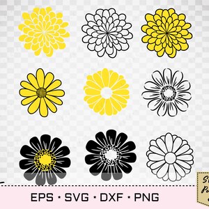 Daisy cut file SVG, Daisy Flowers Bundle, Chamomile Floral SVG, Eps Png cut file, Blossom svg, Camomile Plant svg, Petal svg, image 2