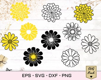 Daisy cut file SVG, Daisy Flowers Bundle, Chamomile Floral SVG, Eps Png cut file, Blossom svg, Camomile Plant svg, Petal svg,