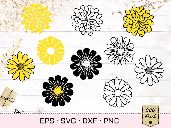 Daisy cut file SVG Daisy Flowers Bundle Chamomile Floral | Etsy