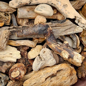 Scottish driftwood pieces for crafts, decoration, display
