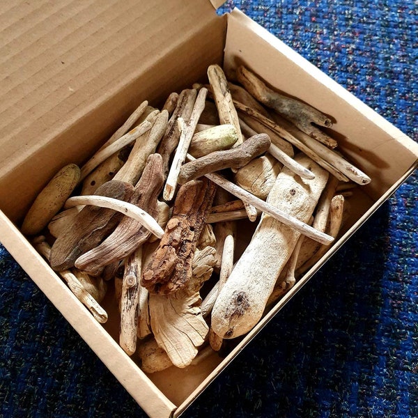 Scottish driftwood box, for crafts, decoration, display