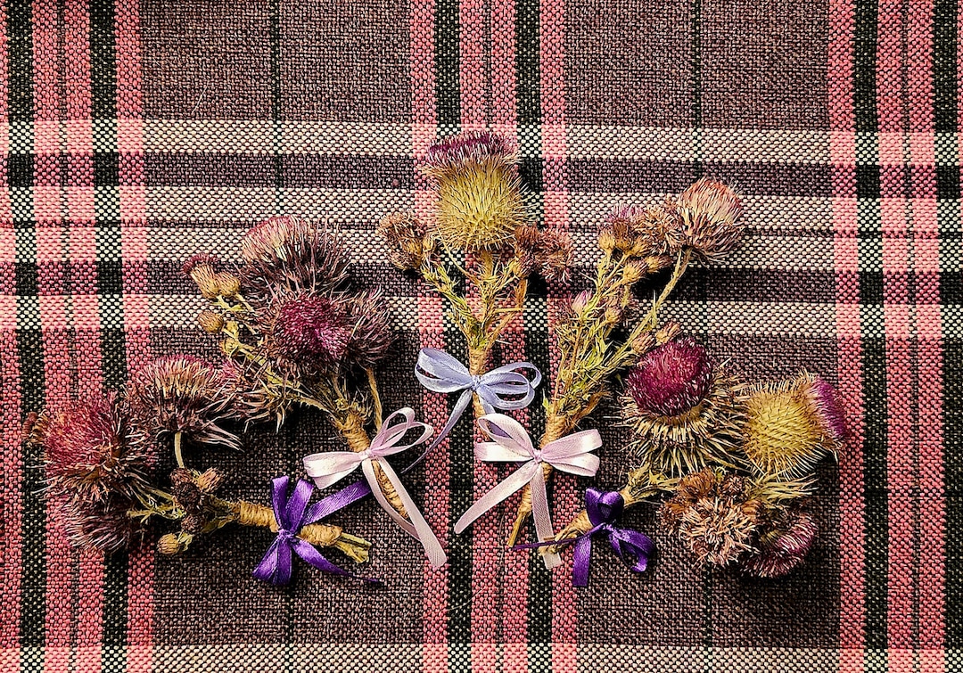 Authentic Scottish thistles