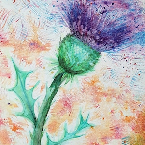 Scottish thistle original paintings