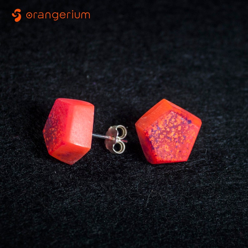 Wild Fruit Collection Statement Jewlery Resin silver earrings Contemporary jewellery Contemporary Handmade Stud Earrings