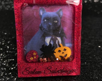 Salem Saberhagen Etsy