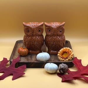Ceramic owl salt and pepper shakers!