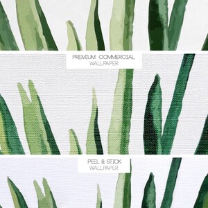 May include: Close-up of a white background with green watercolor leaves. The text "TRADITIONAL WALLPAPER", "PREMIUM COMMERCIAL WALLPAPER", and "PEEL & STICK WALLPAPER" is visible in the image.
