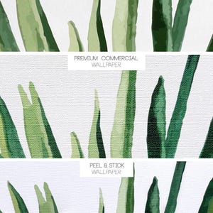 May include: Close-up of a white background with green watercolor leaves. The text "TRADITIONAL WALLPAPER", "PREMIUM COMMERCIAL WALLPAPER", and "PEEL & STICK WALLPAPER" is visible in the image.