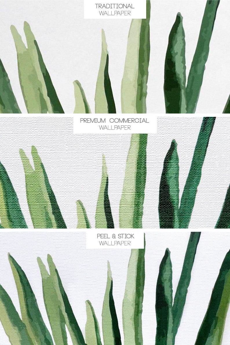 May include: Close-up of a white background with green watercolor leaves. The text "TRADITIONAL WALLPAPER", "PREMIUM COMMERCIAL WALLPAPER", and "PEEL & STICK WALLPAPER" is visible in the image.
