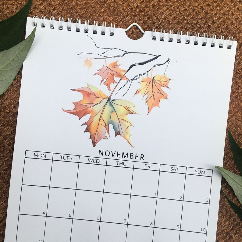 2024 Trees and Woodlands Calendar, Size A4 Etsy UK