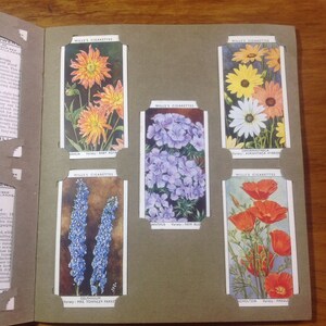 Vintage 1939 Will's Garden Flowers cigarette cards complete set of 50 in Picture Card Album