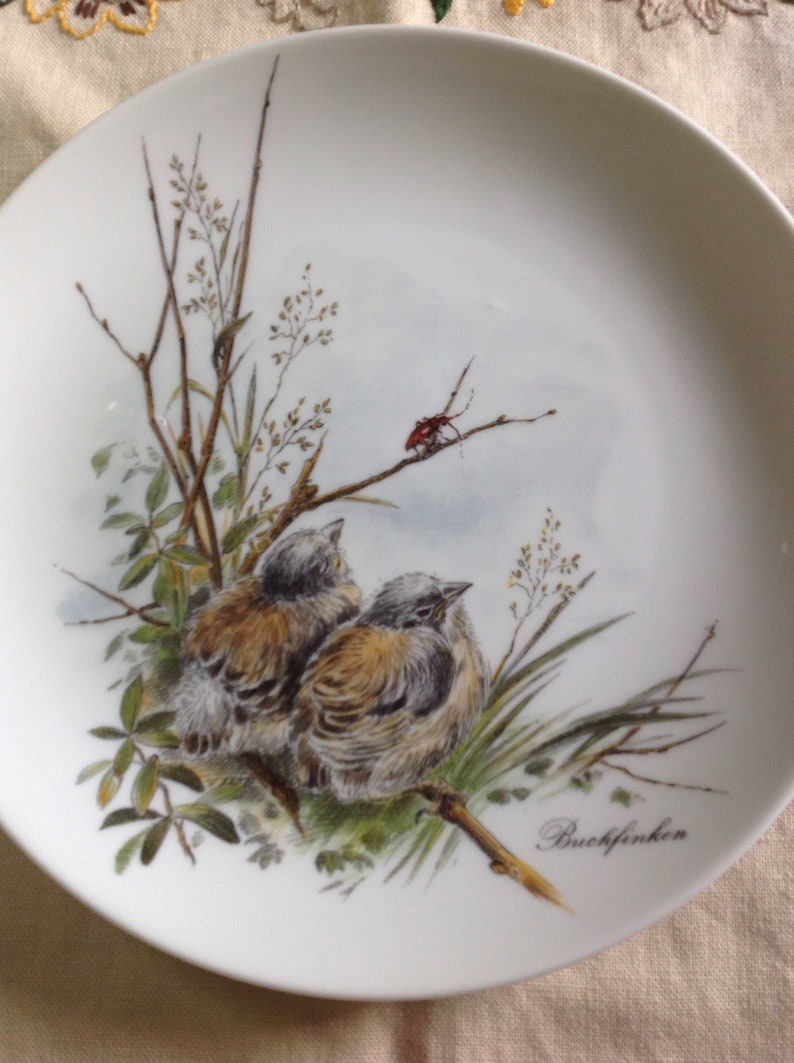 Kaiser Pottery west Germany Collecters Plate Depicting Buchfinken