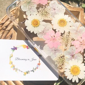 May include: A clear phone case with pressed flowers inside. The flowers are white, pink, and yellow. The case has a white background with the text "Blooming in June" on it.