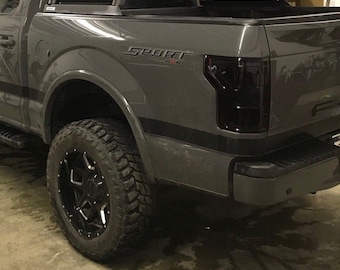 2015-2020 F-150 Pre-cut vinyl overlay Taillight & third brake tint covers