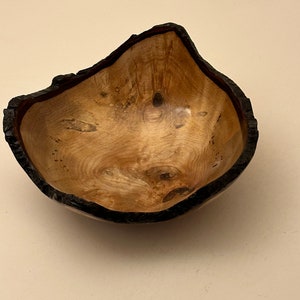 Maple Burl Bark Edge Bowl - 7 inches - #01093
