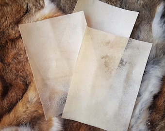 Natural Goat Vellum Parchment - Antique and Traditional - Parchment for calligraphy, painting, bookbinding, artwork and more