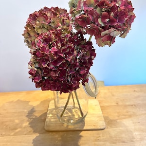 Large Premium Quality Dried Burgundy Hydrangea Stems. 3 Delicate Flower Heads in each bouquet. Wedding, Home Decor, Arts & Crafts