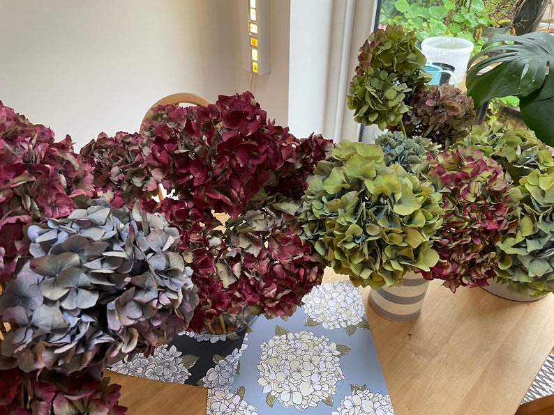 Real Dried Hydrangea Bunches of 5 Wedding Decor House Decor Etsy UK
