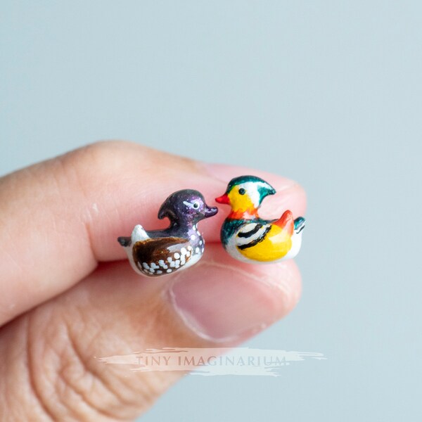 Mandarin Duck Art Etsy