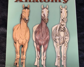 Horse Anatomy Coloring Book