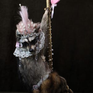 Könnte beinhalten: Ein präparierter Waschbär auf einer vertikalen Stange, geschmückt mit einem rosa Federkopfschmuck mit Perlen, einem weißen Spitzenkragen und Kristallakzenten. Der Waschbär hält einen kleinen rosa Regenschirm und ein rosa Herz mit dem Text LUV U.