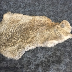 Rabbit Fur Pelt image 1