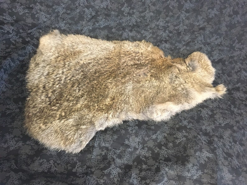 Rabbit Fur Pelt image 1