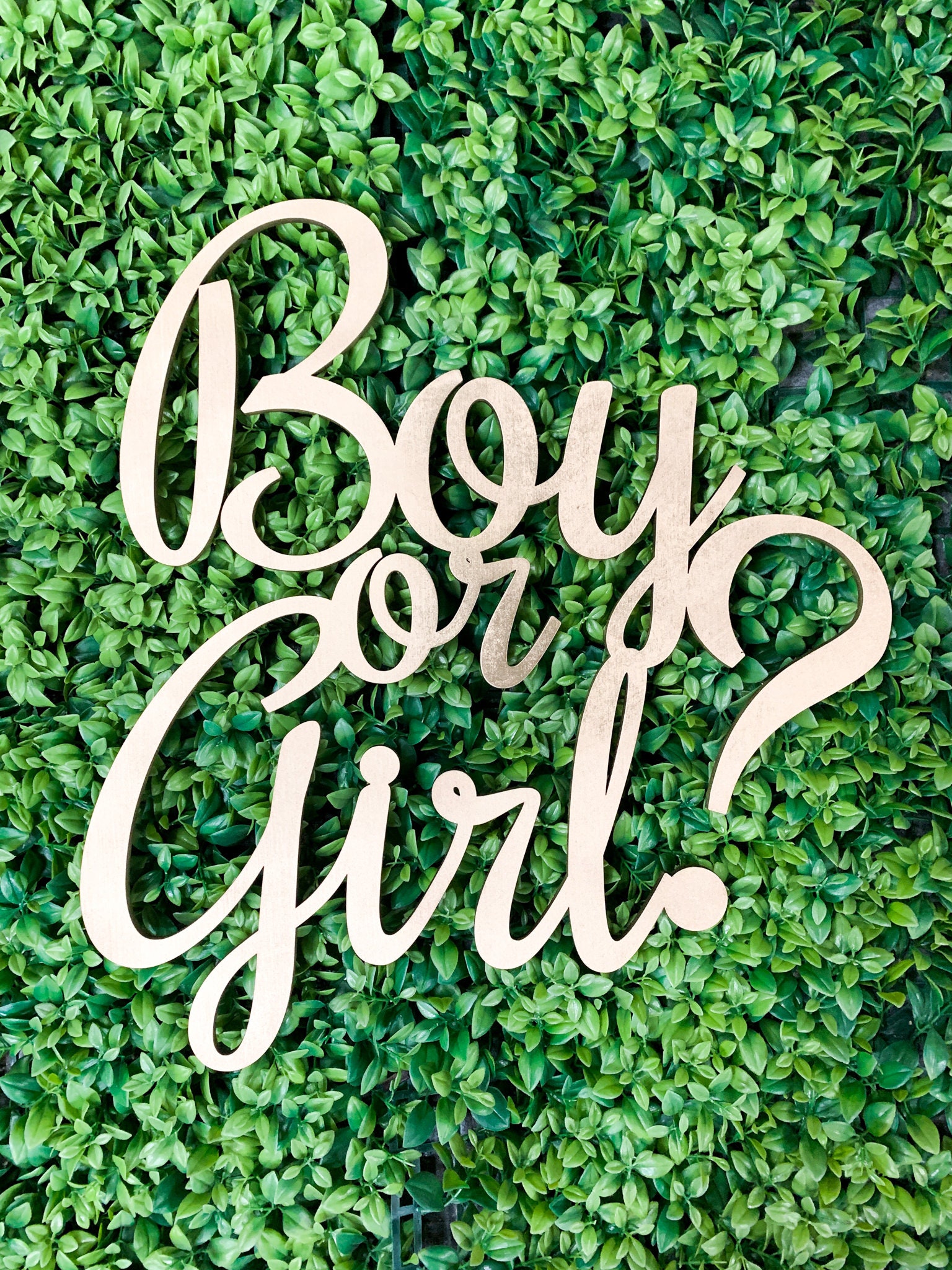 Large 'He Or She' Gender Reveal Wall Decal - Vinyl Backdrop Sign For Baby Shower, Balloon Arch Decor (KOKOLAP)