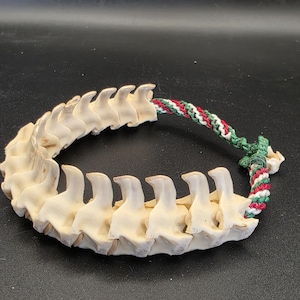 May include: A bracelet constructed from a series of off-white, curved bone vertebrae segments linked together. The ends of the bone chain are connected by a braided cord featuring a repeating pattern of red, white, and green threads.