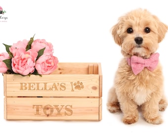 Personalised dogs toy box, pets, cats, custom