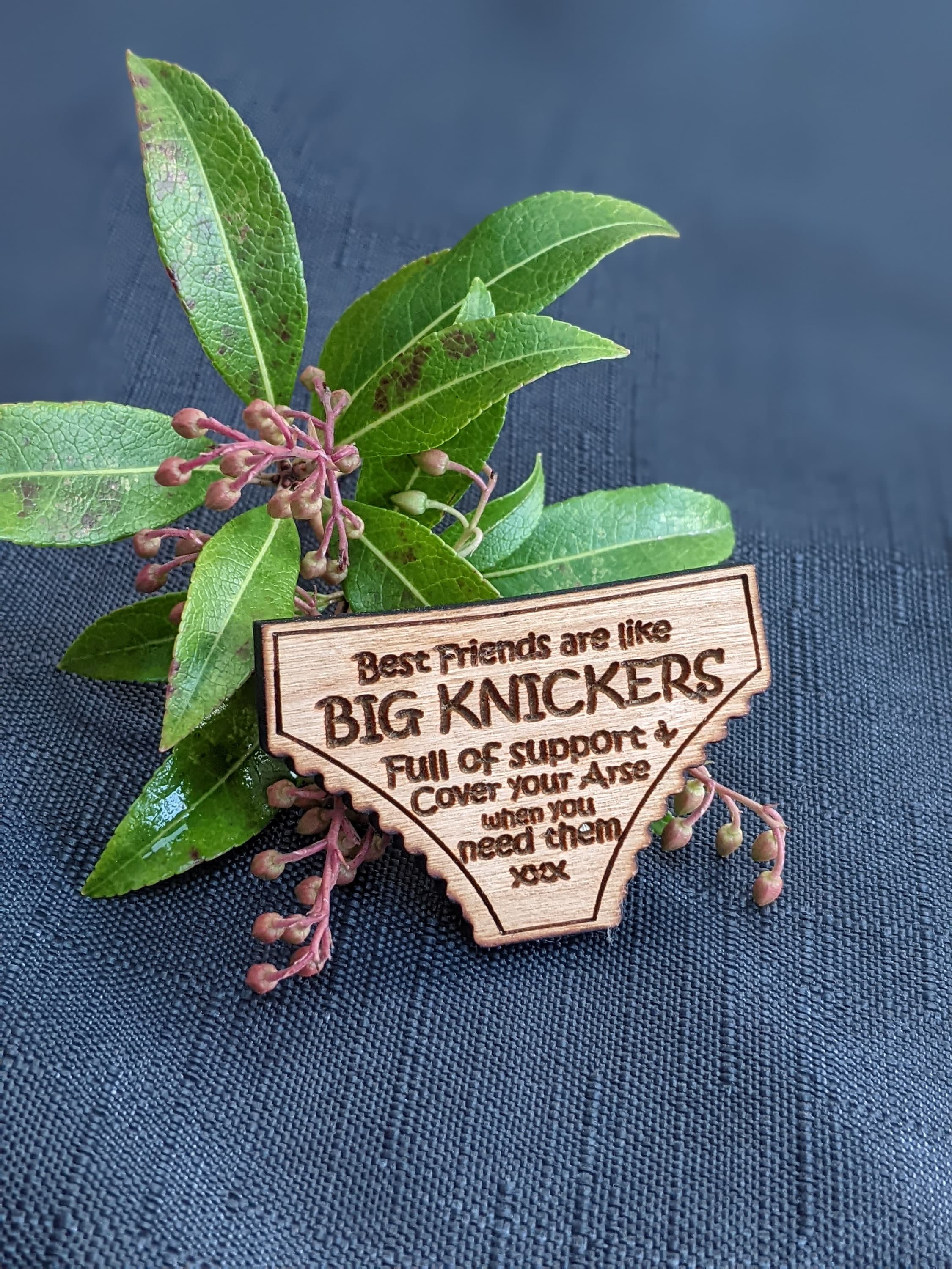 Big knickers friendship fridge magnet