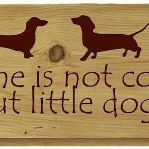 Dachshund Dog Novelty Sign Dog lover fun sign gift idea lifestyle Sausage dog puppy