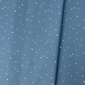 Starry Whispers Mist/Coyote Hill/Katie O&#39;Shea/Art Gallery Fabrics/100% Quilter Weight Cotton/By the Half Yard