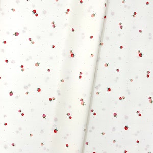 Berry Drizzle/Haven/Amy Sinibaldi/Art Gallery Fabrics/100% Quilter Weight Cotton/By the Half Yard or Yard