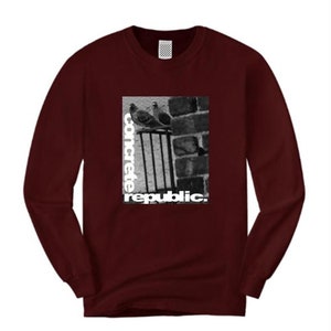 Mens long sleeve urban fashion tee, 'The Usual Suspects' NYC pigeon graphic (size Sm-4XL)