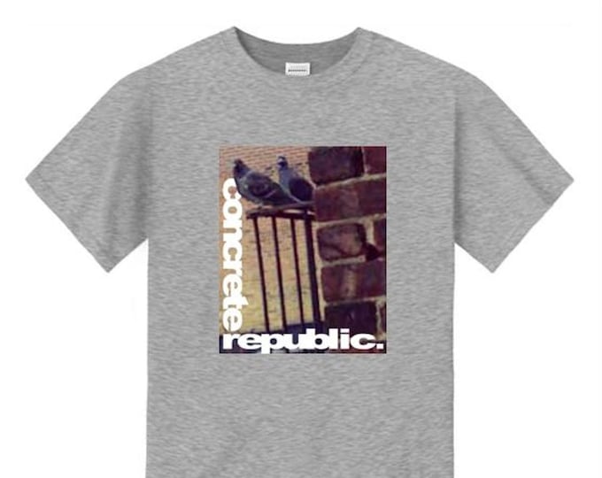 Mens urban fashion tee, 'The Usual Suspects' NYC pigeon graphic (size Sm-4XL)