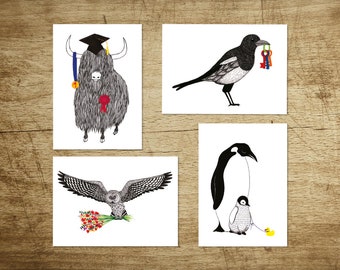 Conjunto de 4 postales / tarjetas de felicitación de Party Animal para varias ocasiones, incluyendo Yak, Urraca, Búho y Pingüino