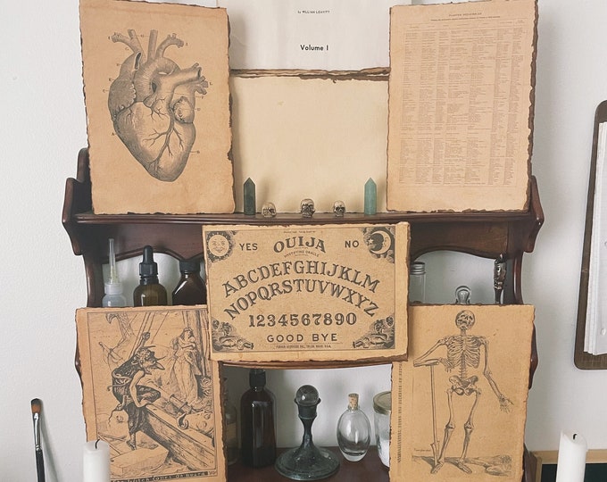 Vintage Anatomical & Medical Prints set