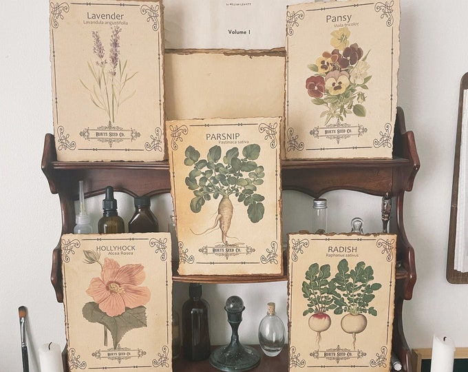 Vintage Garden Botanical seed packet Prints set