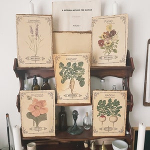 Vintage Garden Botanical seed packet Prints set [ Art Print ] Antique Illustrations / Alchemist-Scientist-Witchcraft-Home decor-Wall decor