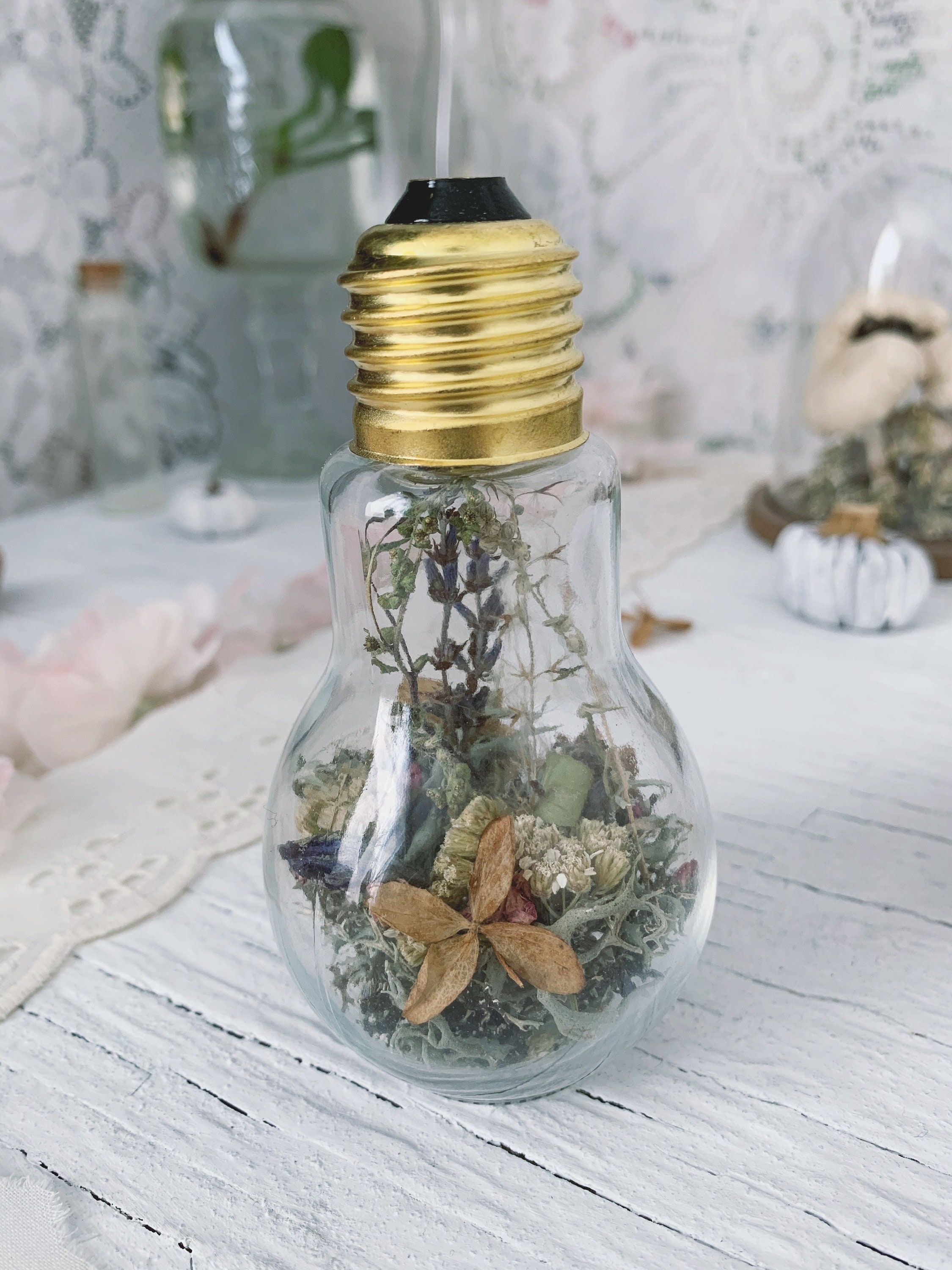 Herbarium Light Bulb