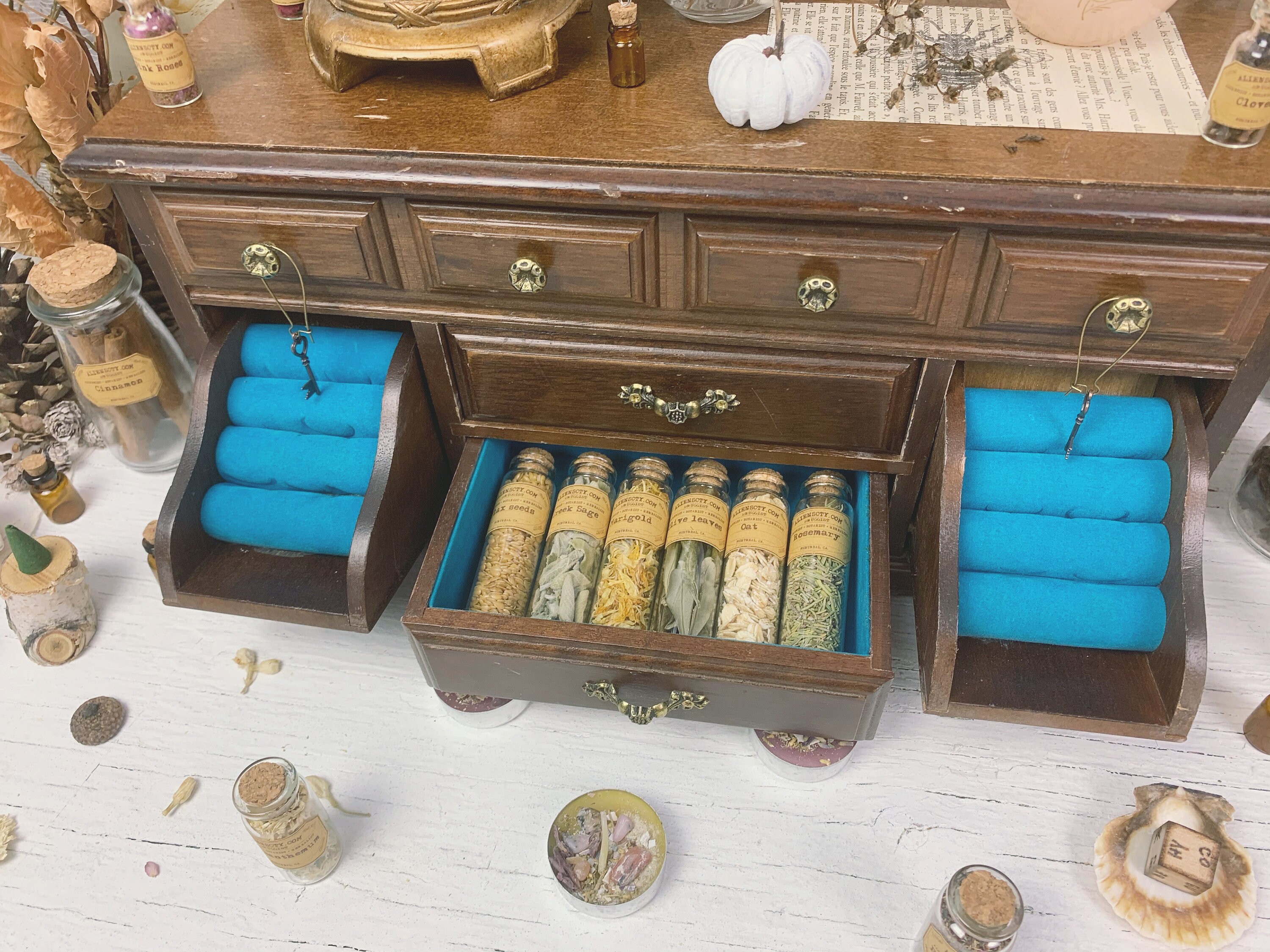 Master Apothecary Witch Altar // Edition