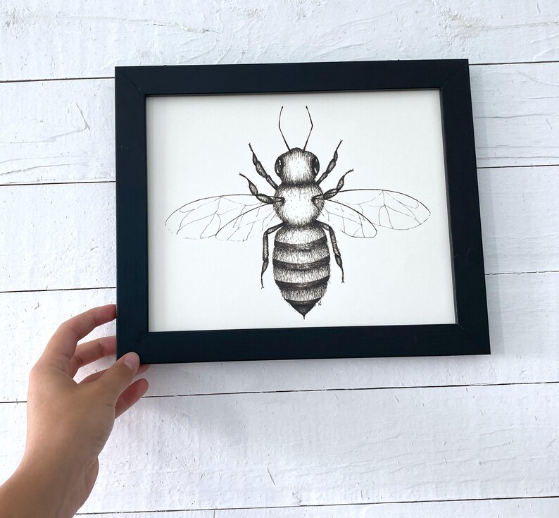 Bee 'anatomy' Pen and Ink Print - Honeybee Original Art Decor Nature ...