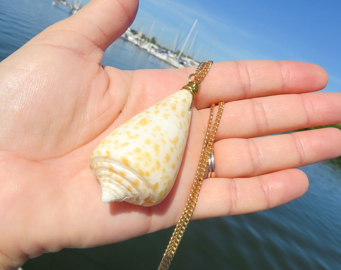 Large Florida Cone Shell Necklace // Cone Seashell Necklace // Etsy