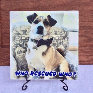 May include: A white ceramic tile with a photo of a brown and white dog wearing a black bow tie. The dog is sitting in a chair with a floral pattern. The tile has the text "WHO RESCUED WHO?" in blue letters.