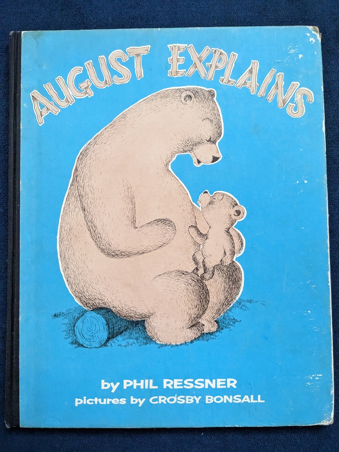 Angust Explains by Phil Ressner, Pictures by Crosby Bonsall - Etsy