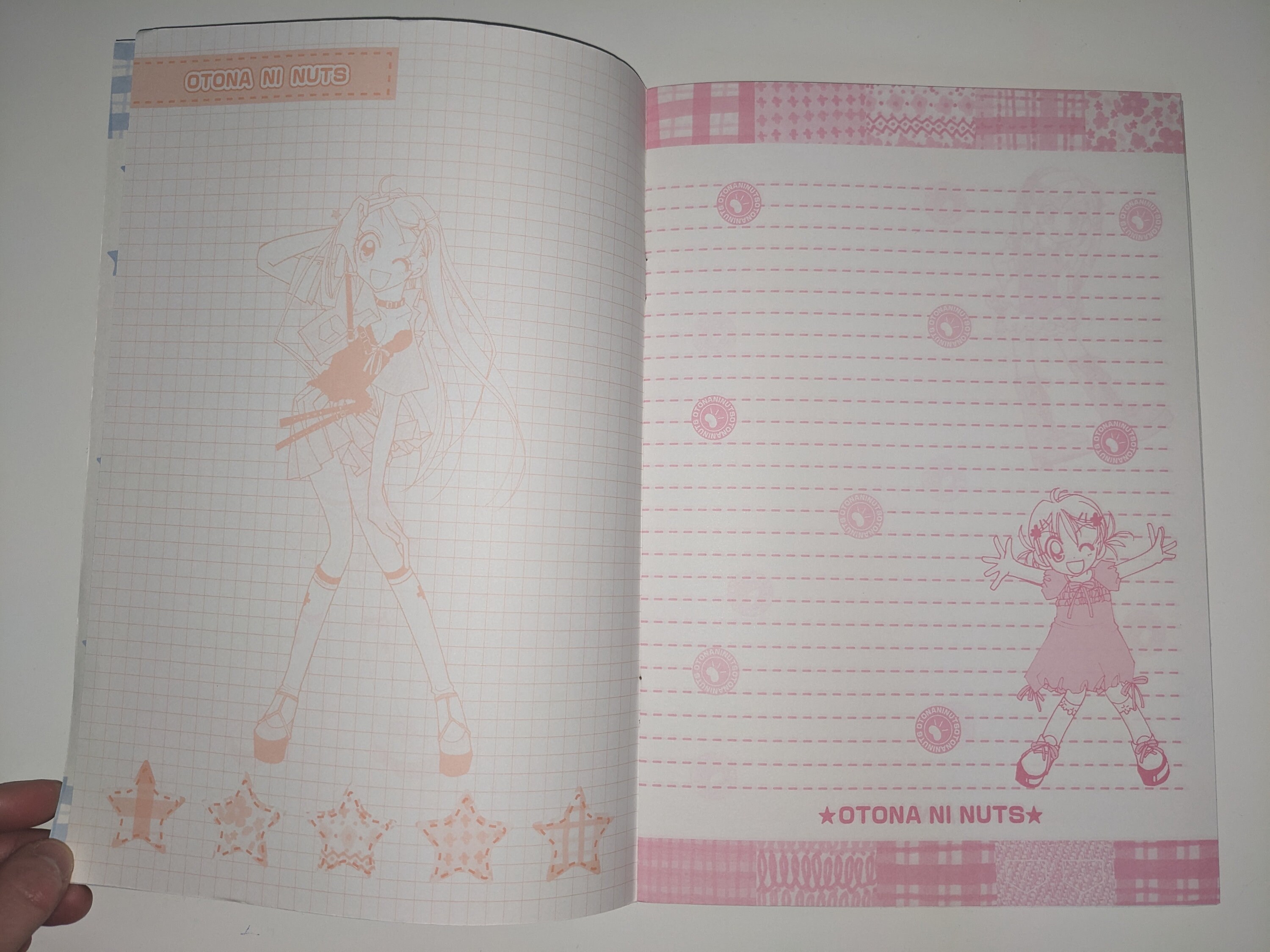 90s, Early 2000s Nakayosi Furokyu Notebook, Illustrated by Akiko Nomura ...