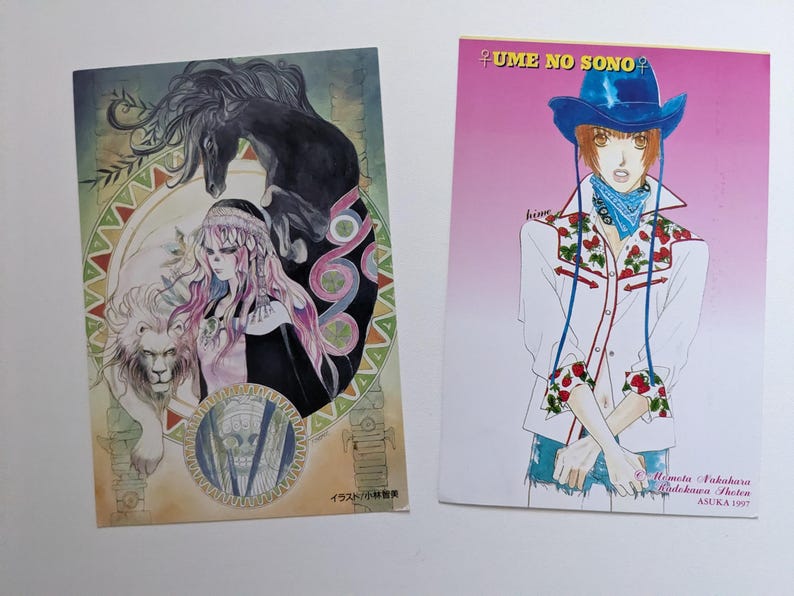 Pu&ograve; includere: Due stampe artistiche colorate. Una presenta una donna con i capelli rosa, un leone e un cavallo nero. L'altra raffigura una persona con un cappello da cowboy blu e una camicia bianca con dettagli floreali rossi. Testo visibile su entrambe le stampe.